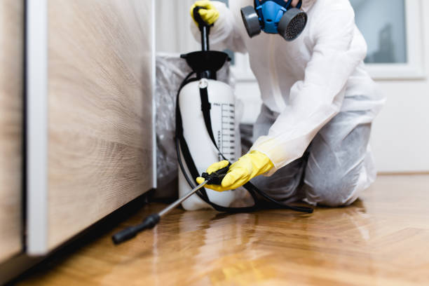 Best Termite Control Services  in East Palatka, FL