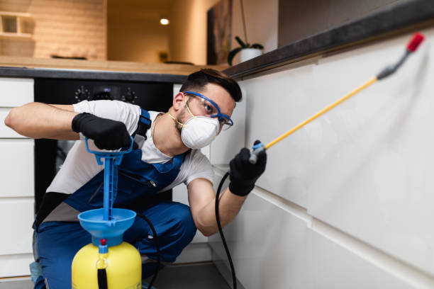 Best Emergency Pest Control  in East Palatka, FL