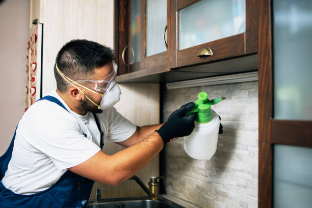 Best Pest Prevention Services  in East Palatka, FL