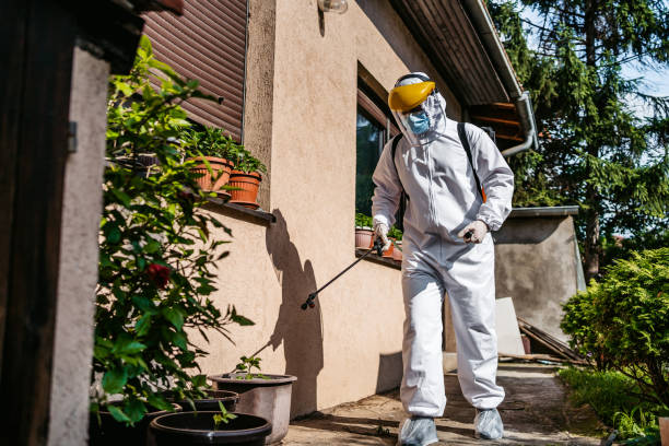 Flea Control Services in East Palatka, FL