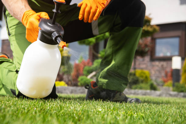 Best Exterminator Services  in East Palatka, FL