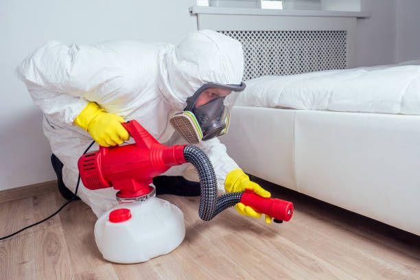 Best Affordable Pest Control Services  in East Palatka, FL