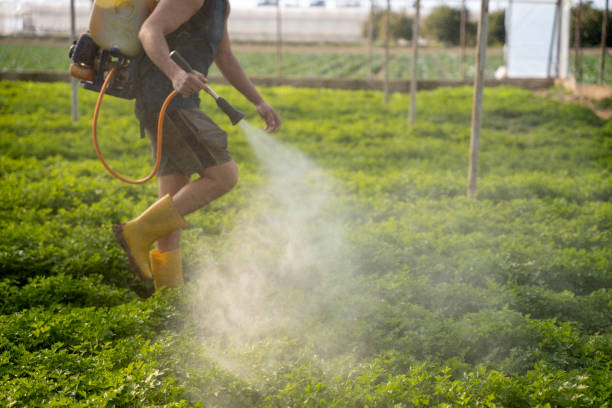 East Palatka, FL Pest Control Company