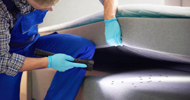 Best Rat Extermination Near Me  in East Palatka, FL