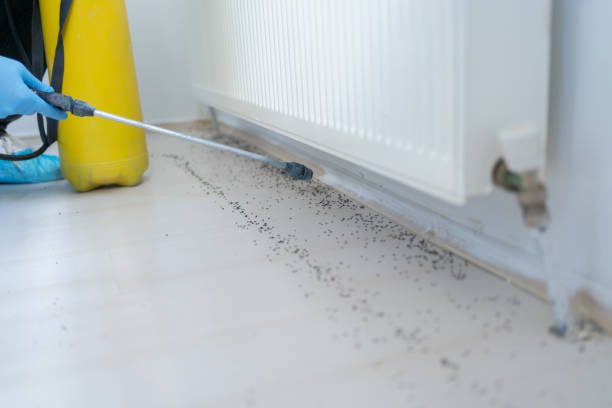 Best Pest Control Near Me  in East Palatka, FL