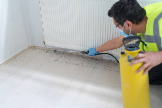 Best Ant Control Services  in East Palatka, FL